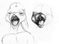 Hungry bunny + shading study