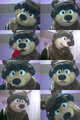 Random bear faces by lazormastah