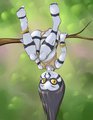 Pandora Hoppin by RisingDragon
