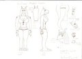 Guilina Model Sheet by Lucedo