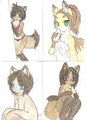 Pre-Hiatus Dump 1