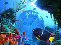 Underwater Life (water clocks aurora) by Blackwervolk