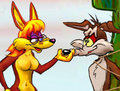 Dos Coyotes; Rope-A-Dope by mreiof