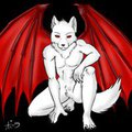 yuu wolfman  frontal view