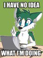 I have no idea.... by NekoHaiku