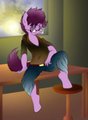 Ponysona 2014