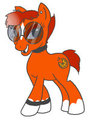 Lee Pony