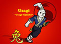 YOTR - Usagi