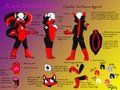 Kuro's Reference Sheet (Revised)