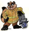 rescue raccoon