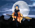 Foxie on a [broom]stick