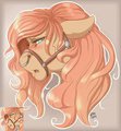 Headshot/ICONS OPEN