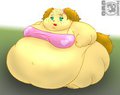 Ginger,the morbidly obese puppy
