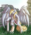 derpy knight