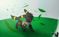 Sora the Umbreon | Birthday Gift