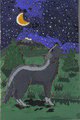 The Moonlight shines upon the wolf