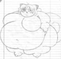 chunky clefairy