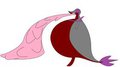 gumball inflating amy