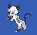Heather The Happy Possum!