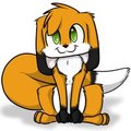 Foxbunny
