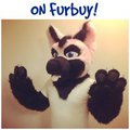on furbuy!