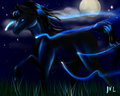 Neon under Moonlight