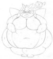 illumise,shes fat