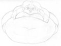 wide whimsicott