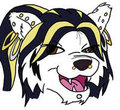 Sheila headshot colored!