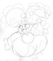 mostly water weight maractus