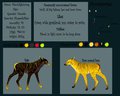 My Fursona BlackLightning