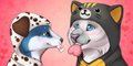 Cuties by Shortcake