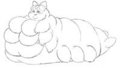big catergal