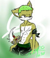 Zoro the Fox by GemsLady