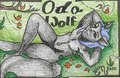 OdaWolf badge by Onudi