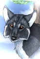 .:Gift:. Kimball by BlackLightning95