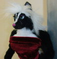 Twillight Art Doll Version 2.0 P7