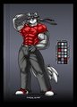 Ref sheet by DocWolph (Clean)