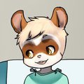 Mousecoon