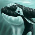 Siro Icon by Dolorcin