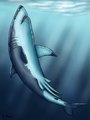 I'm a shark... by Dolorcin