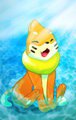 Otter in the Water