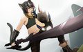 CM - cat dude