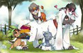 AMG PUPPIES