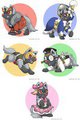 contest poochyenas by tiaa