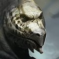 Dragonmorph by klungart