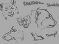sketchs from 0400 by Snags