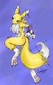 Li Rong Renamon