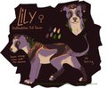 Commission - Staffordshire Bull Terrier  by NinjasHeart