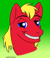 Pony Avatars